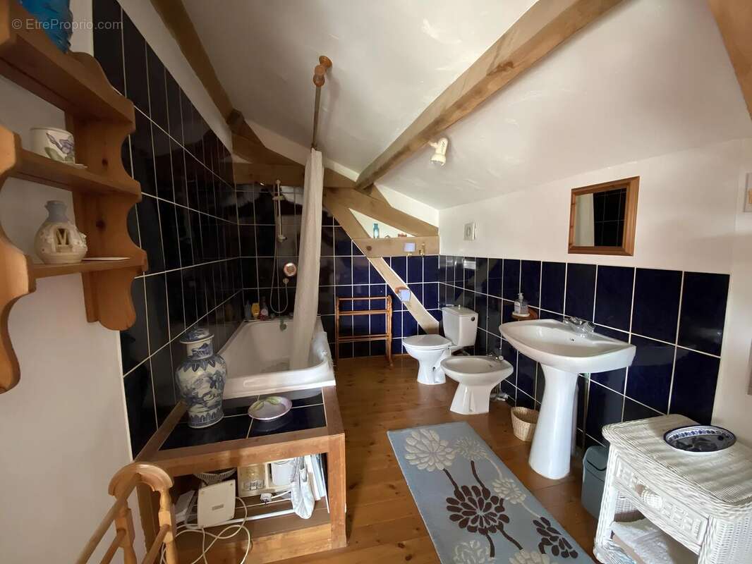 Maison en pierre avec piscine et vaste jardin arboré à la campagne - photo 10