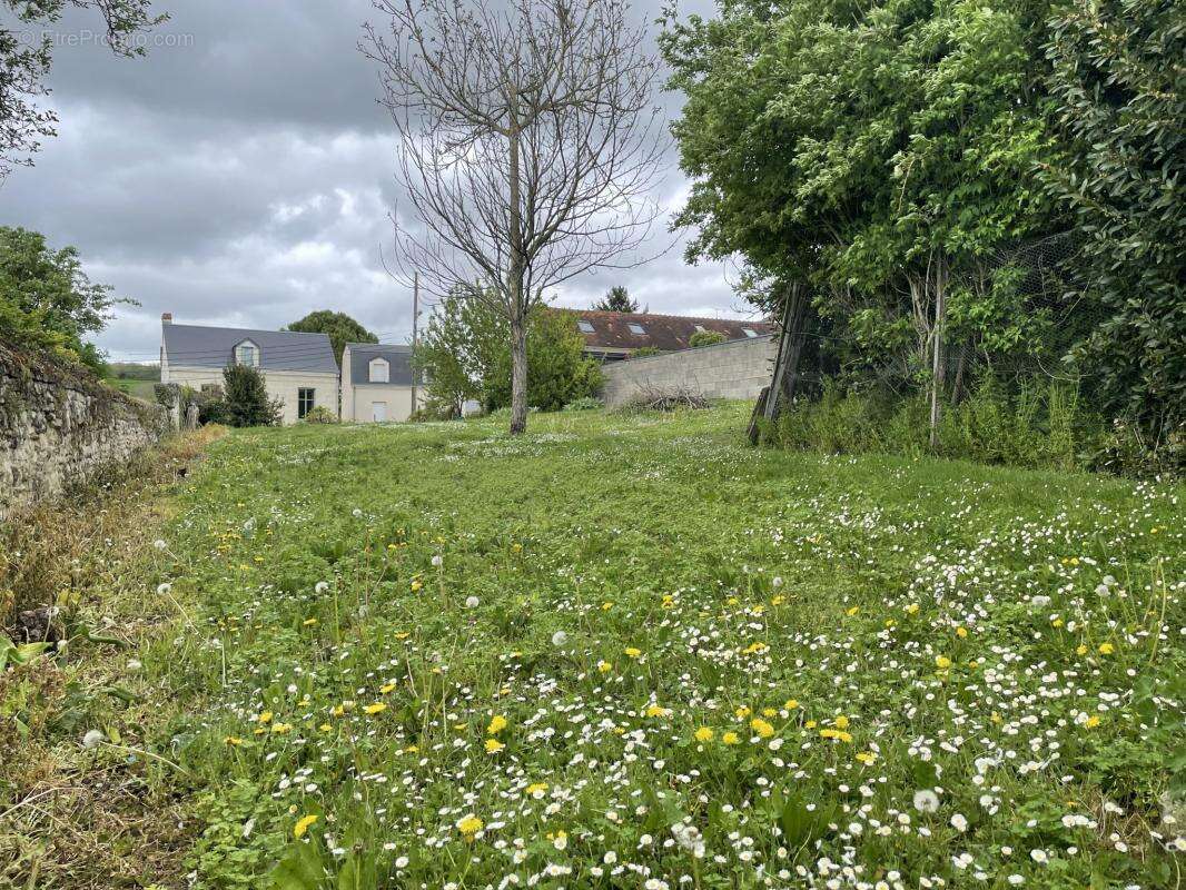 Terrain à CHATELLERAULT