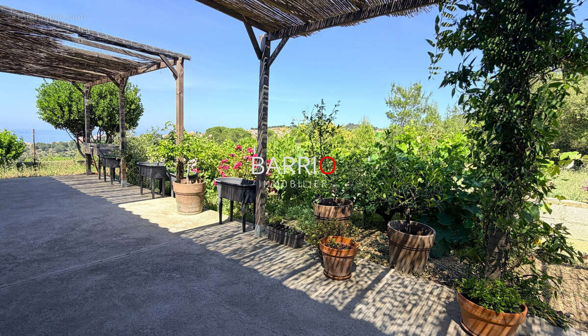 Maison 144 m² à Banyuls-Sur-Mer  - photo 4