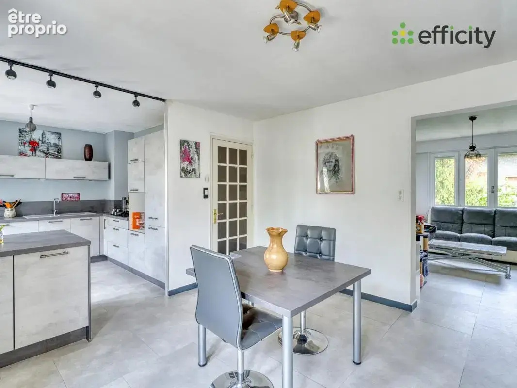 Maison 10 pièces 224 m² à vendre à Saint-Romain-De-Jalionas (38460) - photo 10
