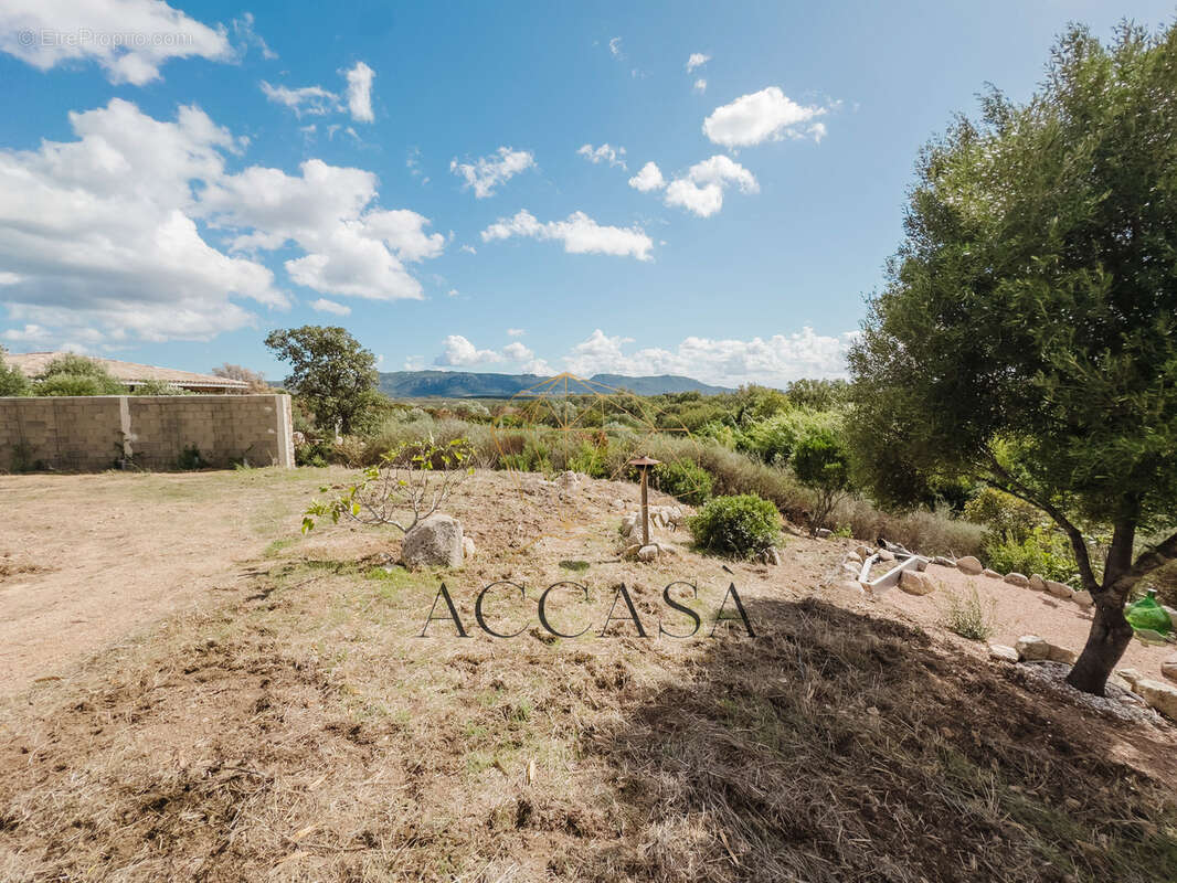 Maison à FIGARI