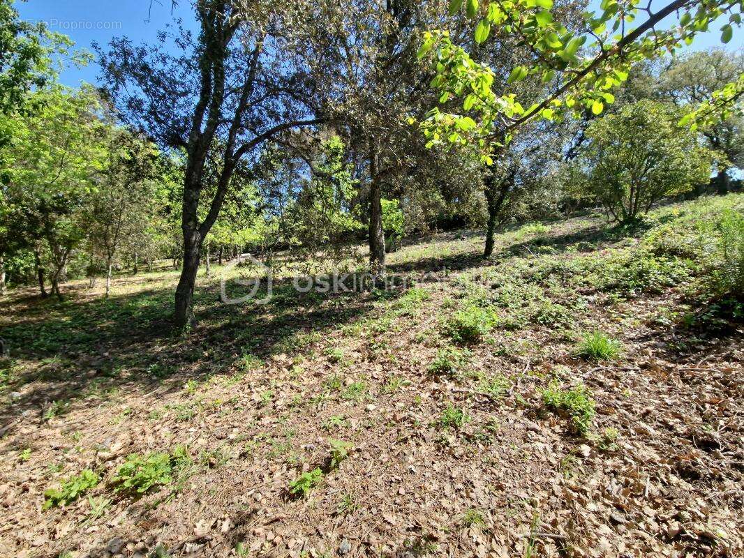 Terrain à LES ADRETS-DE-L&#039;ESTEREL