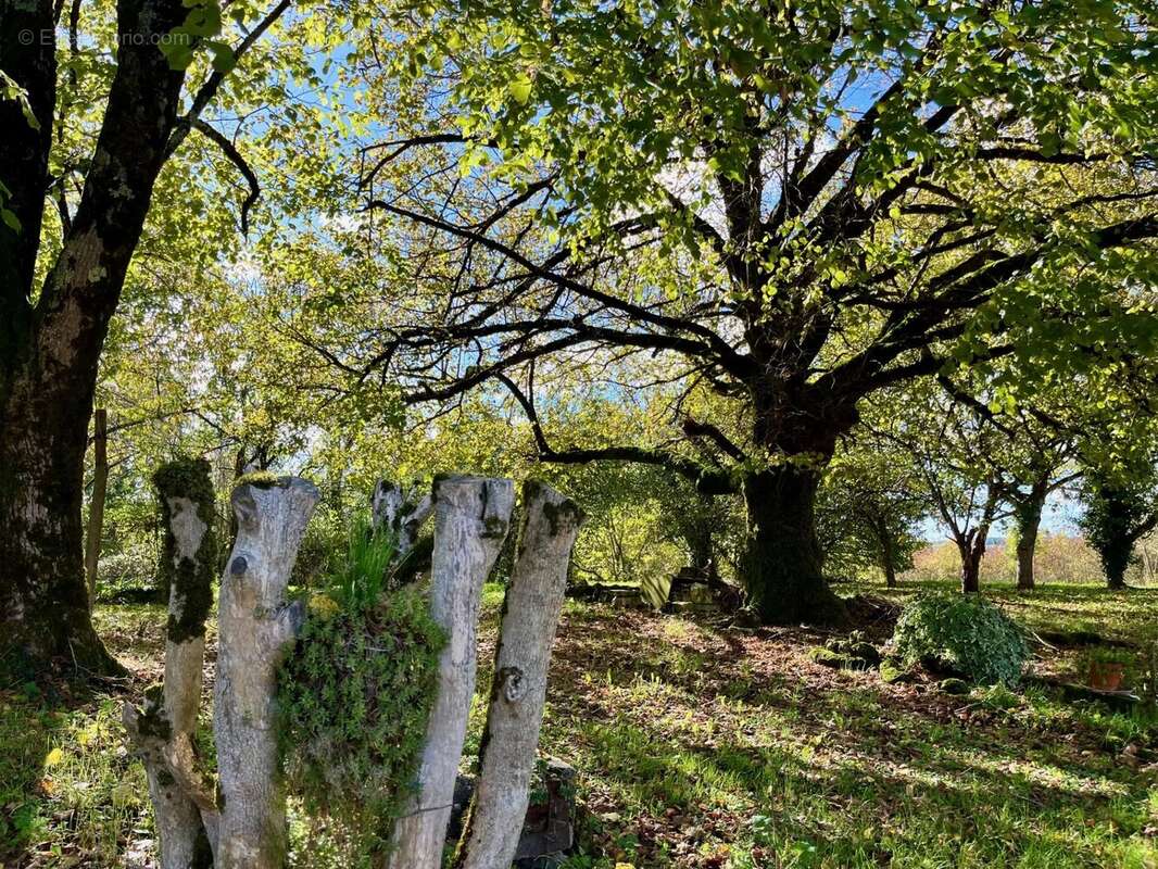 Maison à BOUTEILLES-SAINT-SEBASTIEN