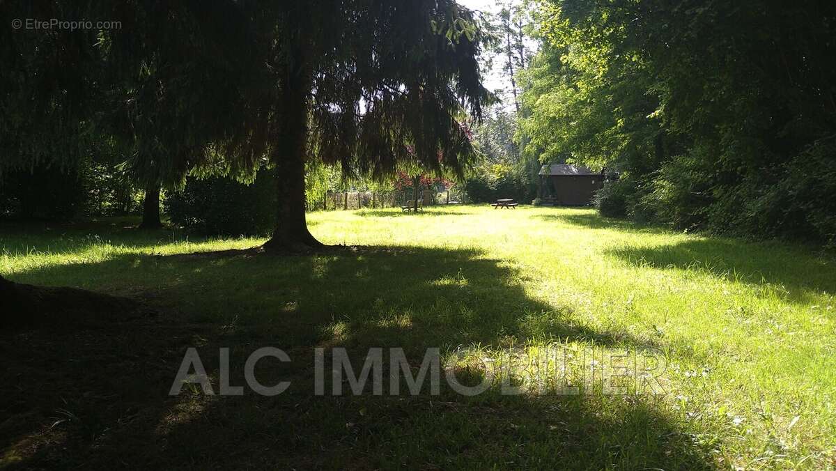 Terrain à SAINT-LEONARD-DES-BOIS
