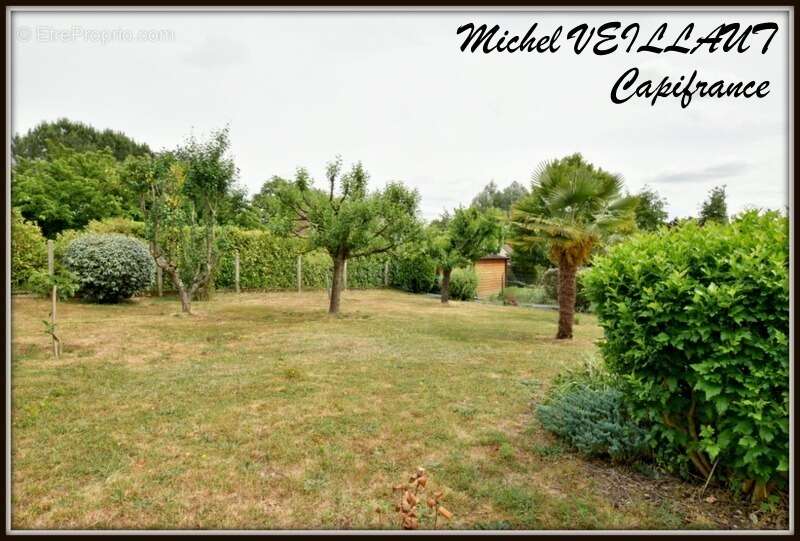 Maison à vendre plain-pied 5 pièces TOULON SUR ALLIER (03), 4 chambres, garage, terrain 1315 m² arboré - photo 15