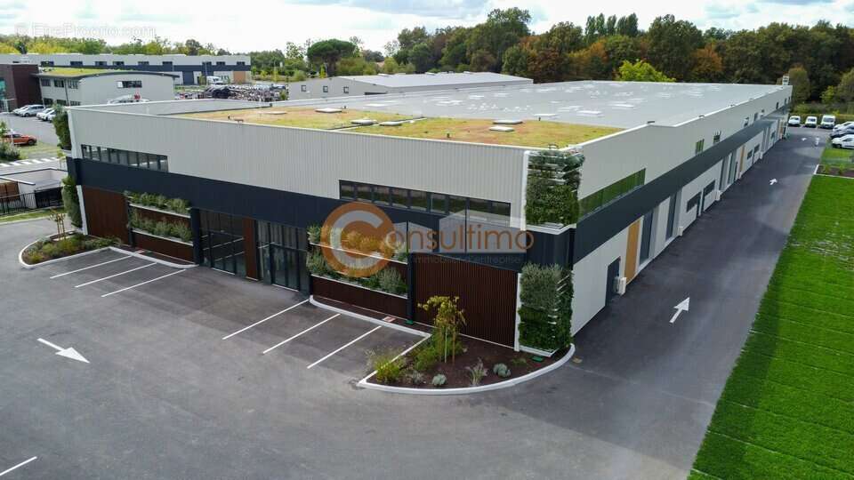 Commerce à SALLEBOEUF