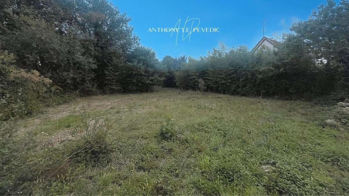 Photo 2 - Terrain à SAINT-PHILIBERT