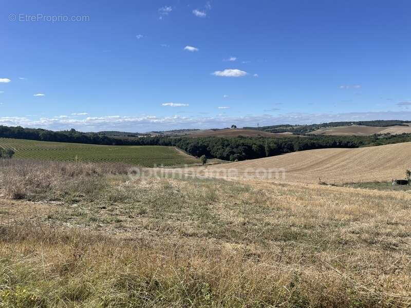 Terrain à LE CASTERA