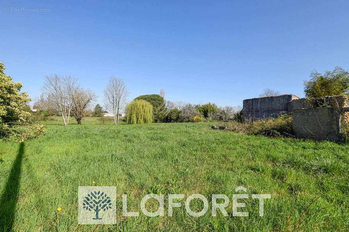 Maison à SAINT-ANDRE-DE-LIDON