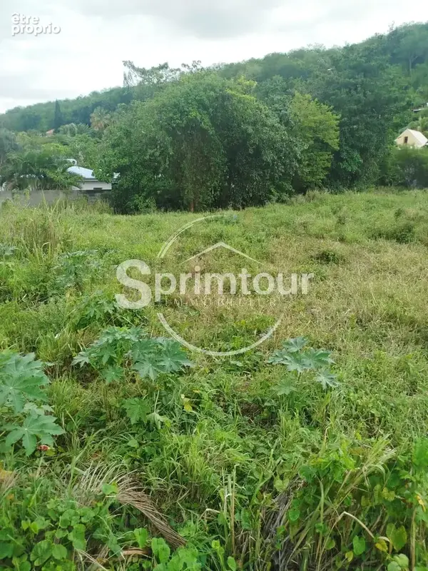 Photo Terrain à Deshaies au prix de 345 600€