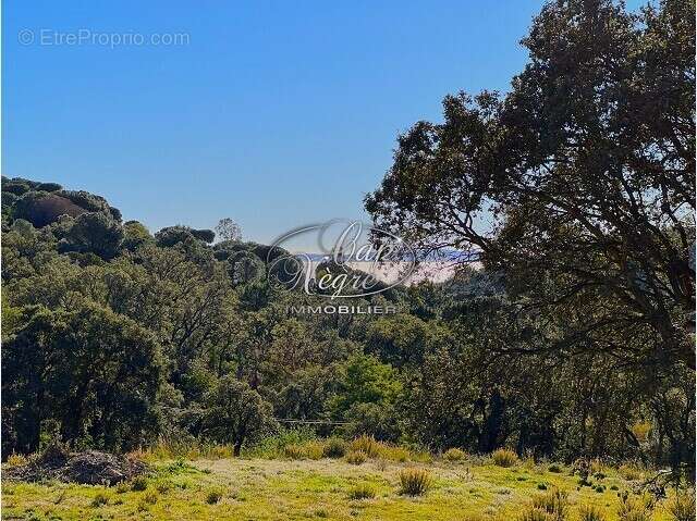 Maison à LE LAVANDOU