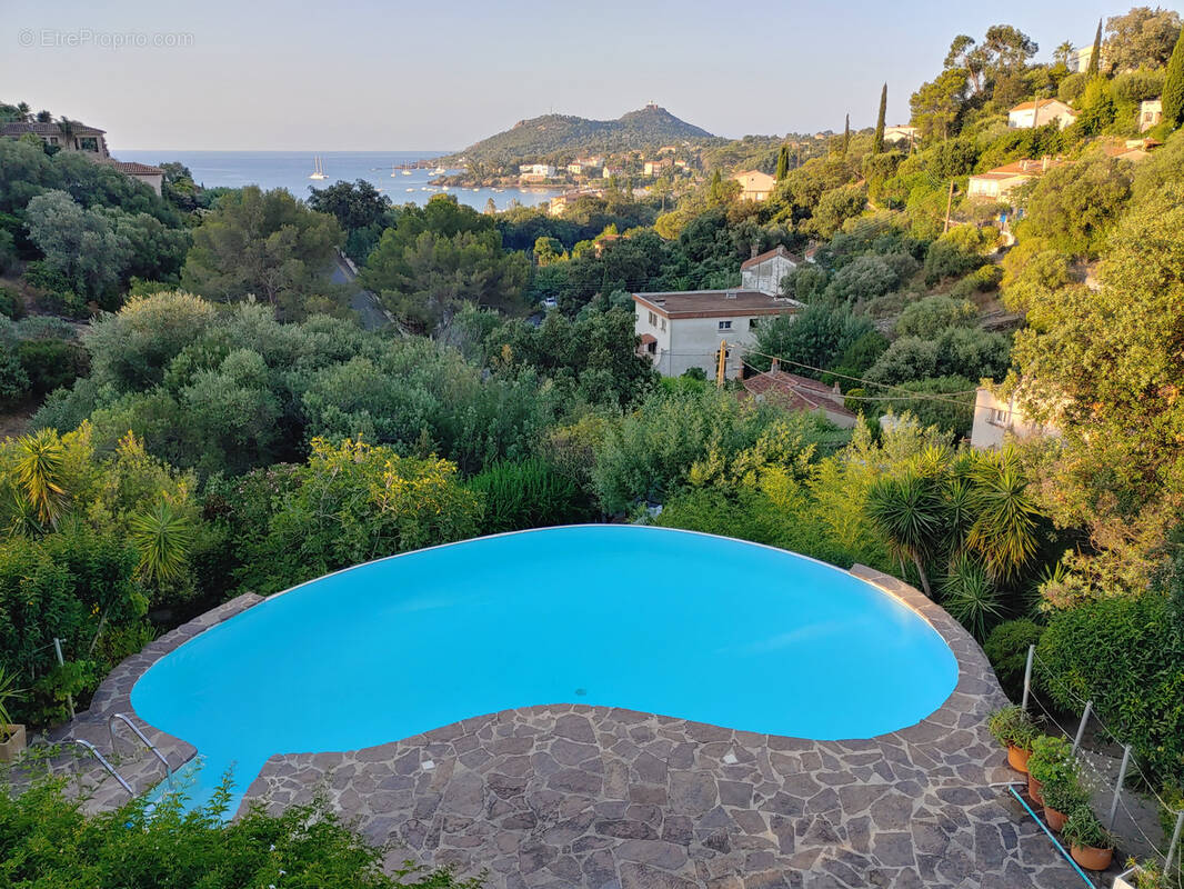 Maison à LA SEYNE-SUR-MER