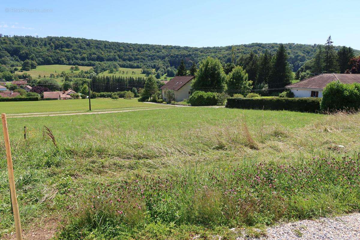 Terrain à RUREY