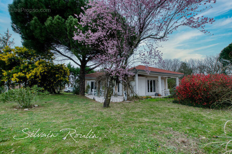 Maison à MALATAVERNE