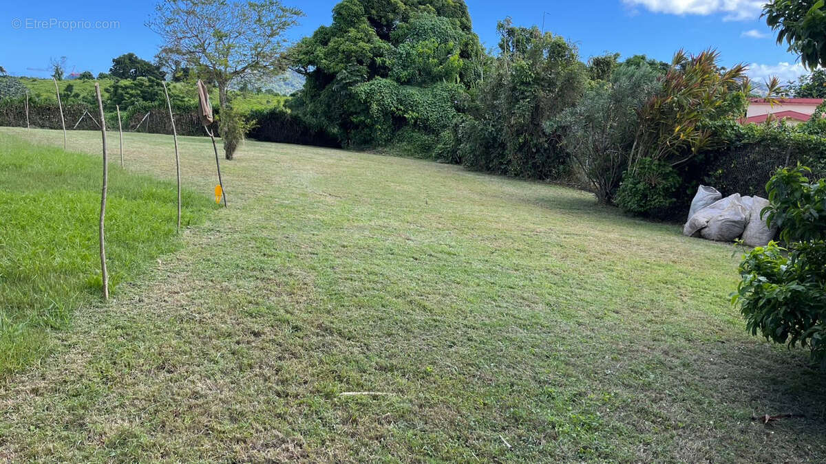 Terrain à LE LAMENTIN