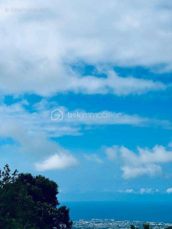 Terrain à SAINT-PAUL