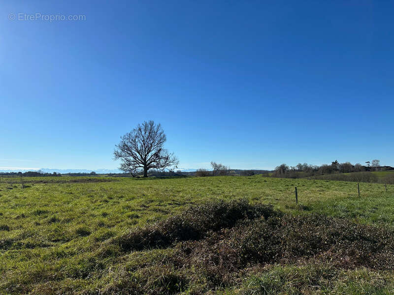 Dpt Gers (32), AIGNAN à vendre terrain de 4 400,00 m² - photo 5