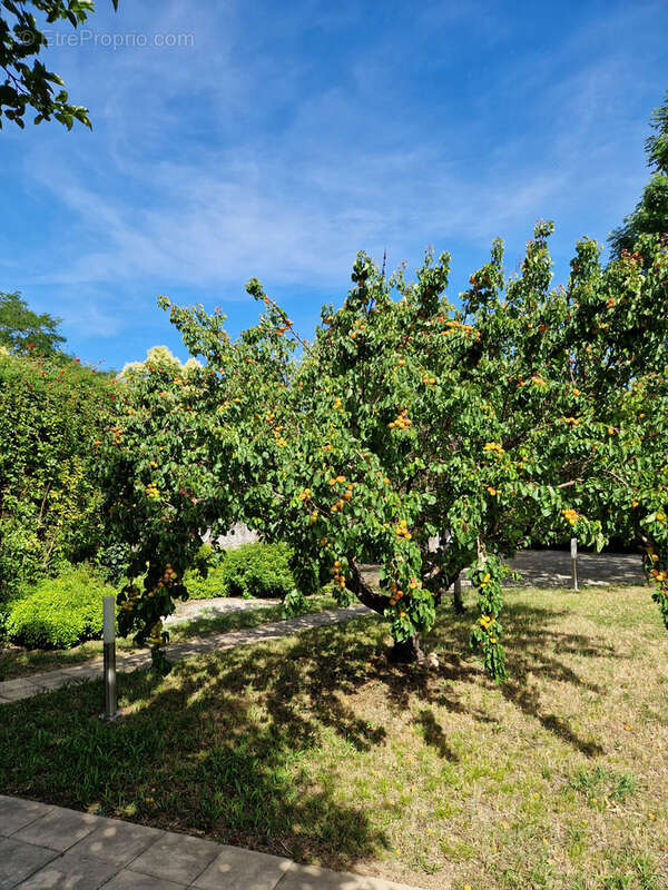 Maison bourgeoise 214 m2 en cœur de ville, avec piscine et jardin magnifique de 1300 m2. Garage, cave - photo 28