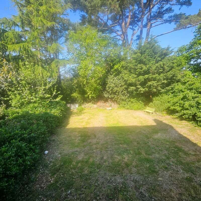 Maison au calme sur 3300 m2 de terrain arboré - photo 5