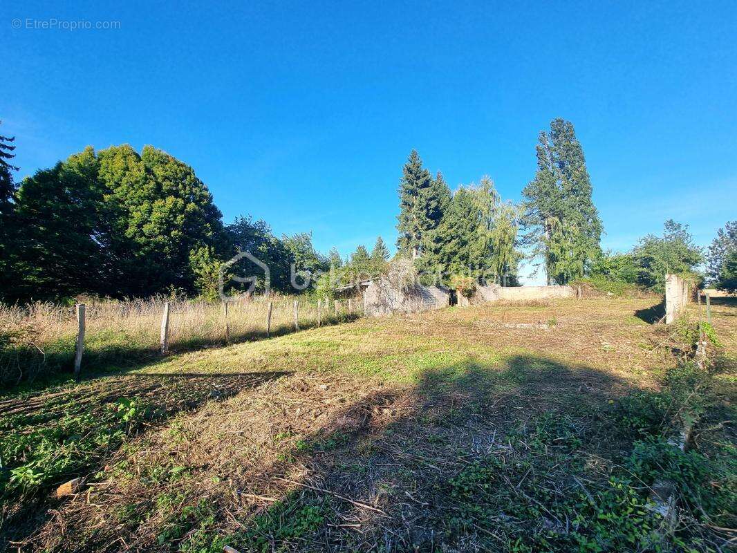 Terrain à CHOISY-EN-BRIE