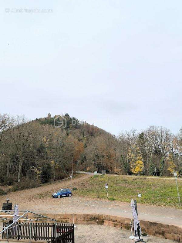 Appartement à SELESTAT