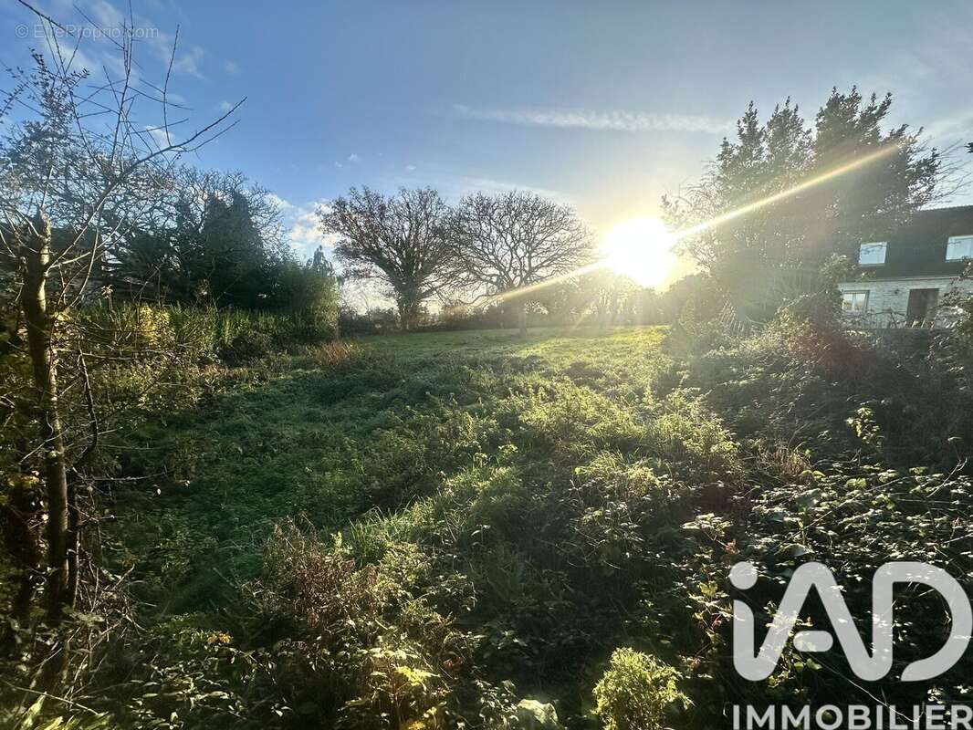 Photo 7 - Terrain à PICAUVILLE