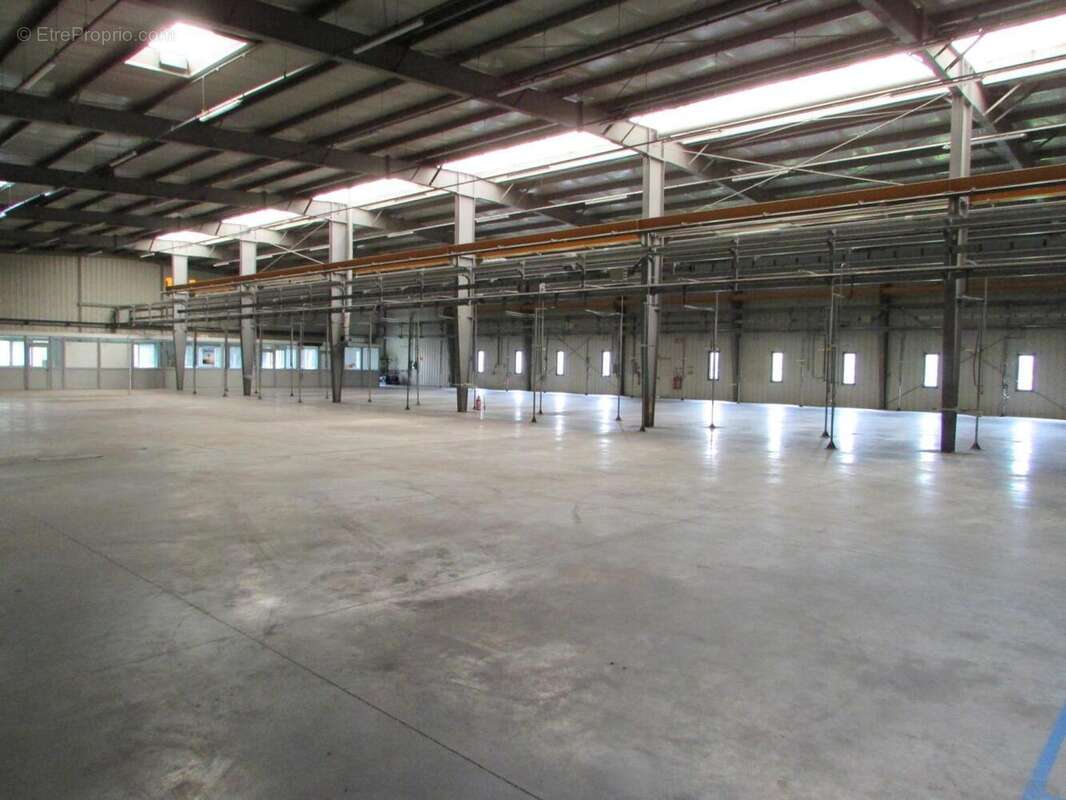 IMG_2654 - Commerce à FERDRUPT