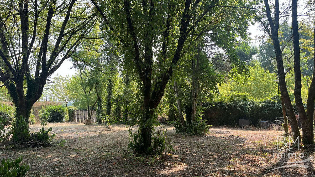 A vendre, belle parcelle sur la commune de TALLER - photo 3