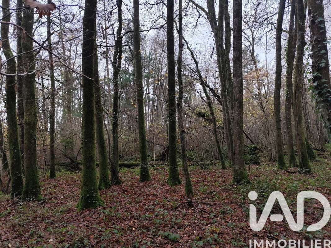 Photo 4 - Terrain à LA CHAPELOTTE