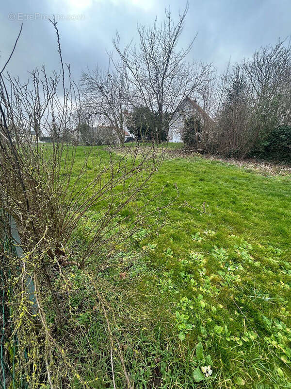 Terrain à BIHUCOURT