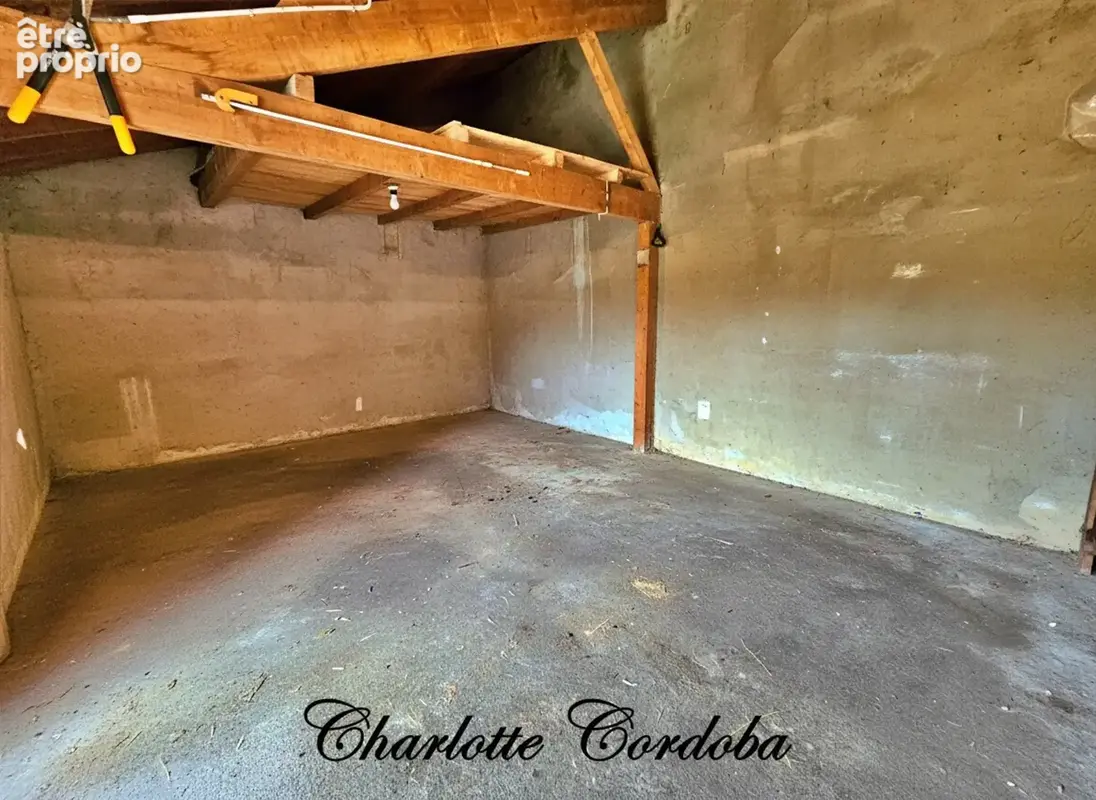 Maison plain-pied 3 chambres - Double garage - Dépendances - 2980 m² de terrain et bois - photo 18