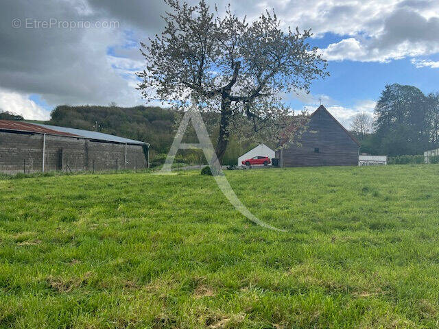 Terrain à SENINGHEM