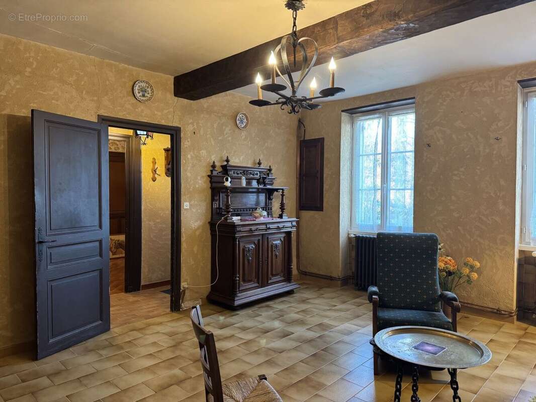 IMG0476 - Maison à SAINT-CYPRIEN