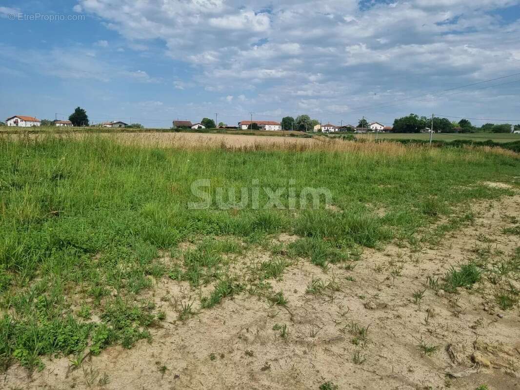 Terrain à SAINT-PALAIS