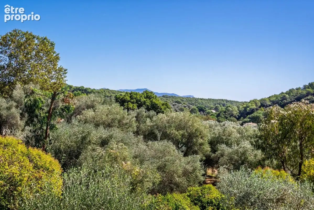 Maison 6 pièces 190 m² à vendre à Valbonne (06560) - photo 3