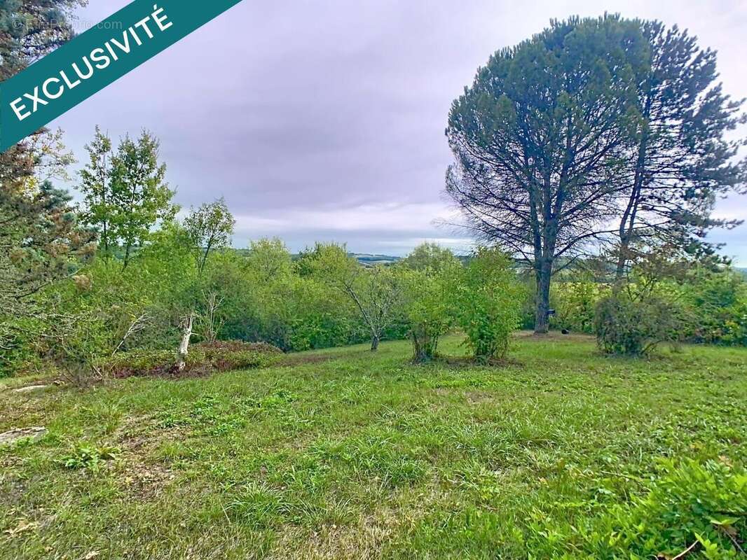 Photo 6 - Maison à BIRAN