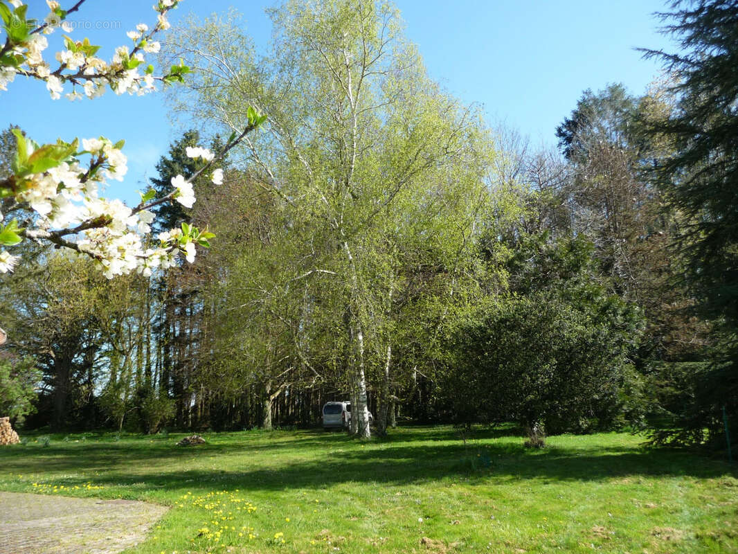 Maison de campagne sur 1,5 ha ! - photo 3