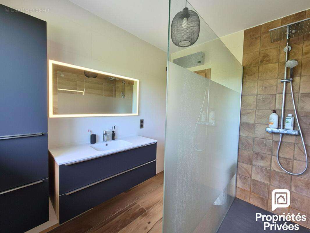 Savigny (74520) - Maison avec vue Mont Blanc - Terrain 4 689 m² - Calme absolu - photo 9