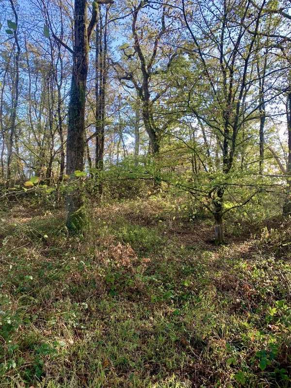 Maison à CHATEAUROUX