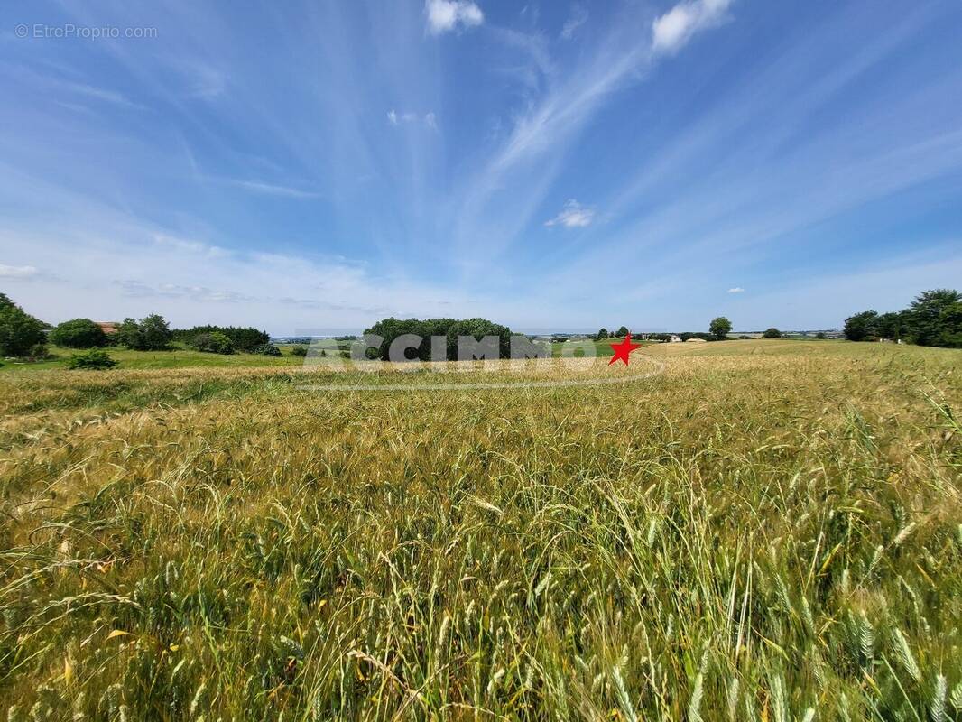 Terrain à VIVIERS-LES-LAVAUR