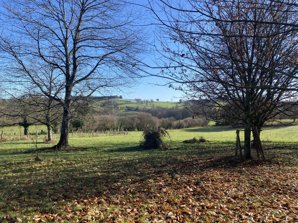 Photo Terrain à Beyssac au prix de 22 000€