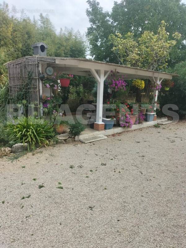 Messenger_creation_5E2D39DD-7EEA-4BEE-8BAF-39583655C802 - Maison à VILLEMUR-SUR-TARN