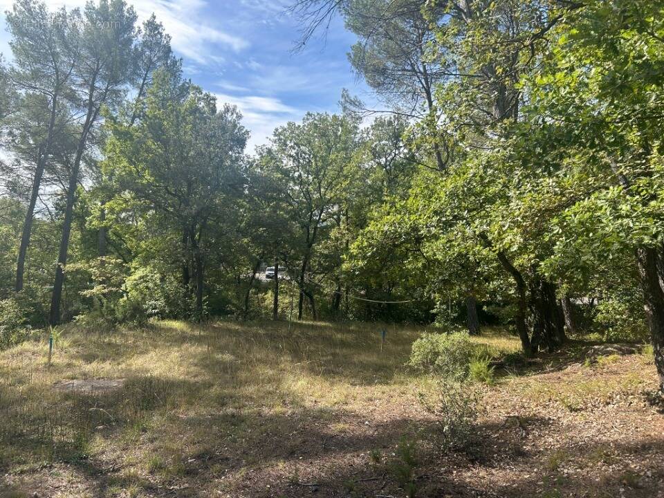 Terrain à GREASQUE