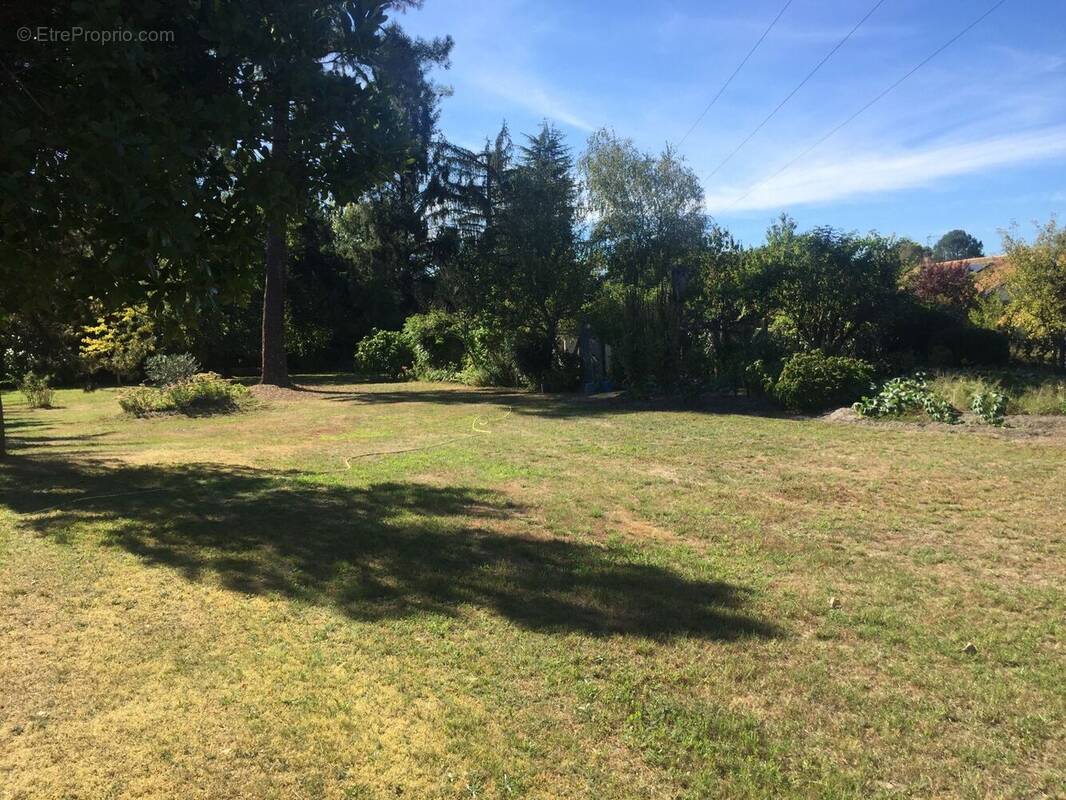 Terrain à CADILLAC-EN-FRONSADAIS