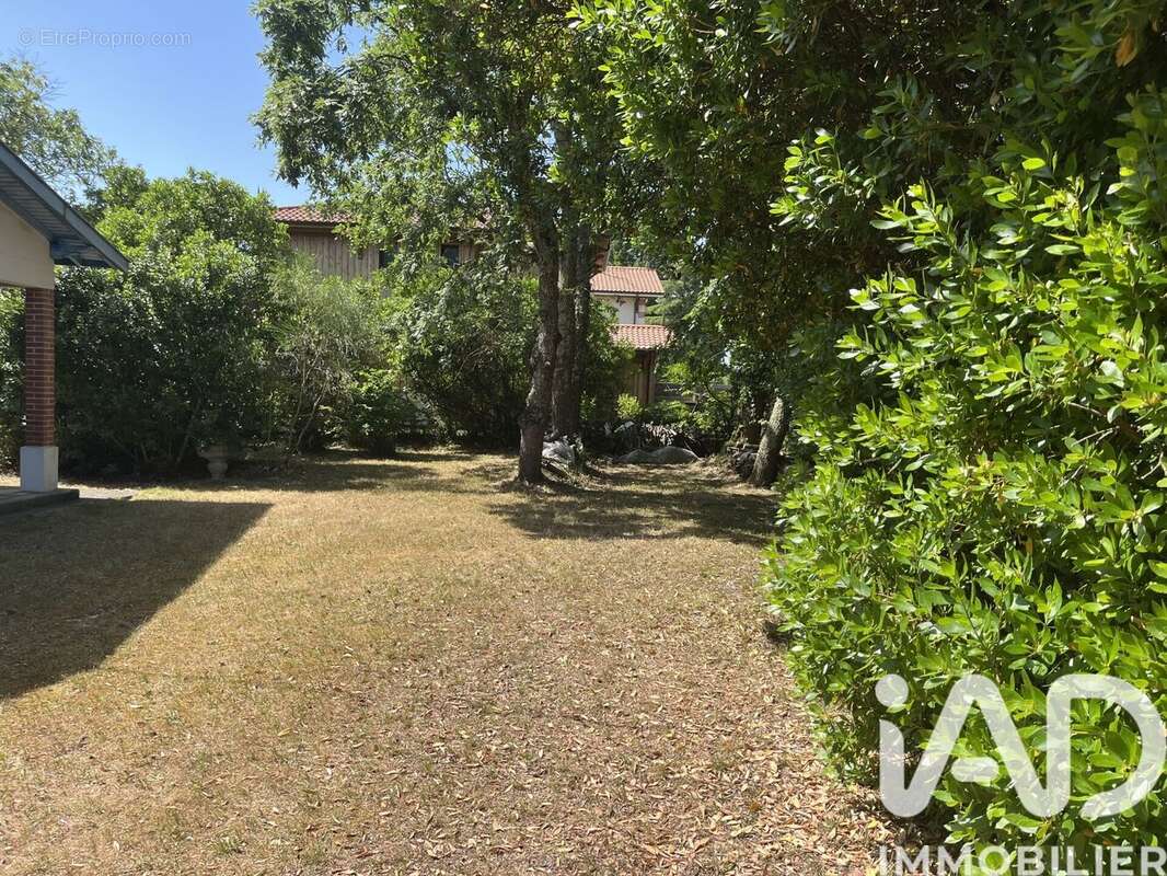 Photo 2 - Maison à ANDERNOS-LES-BAINS