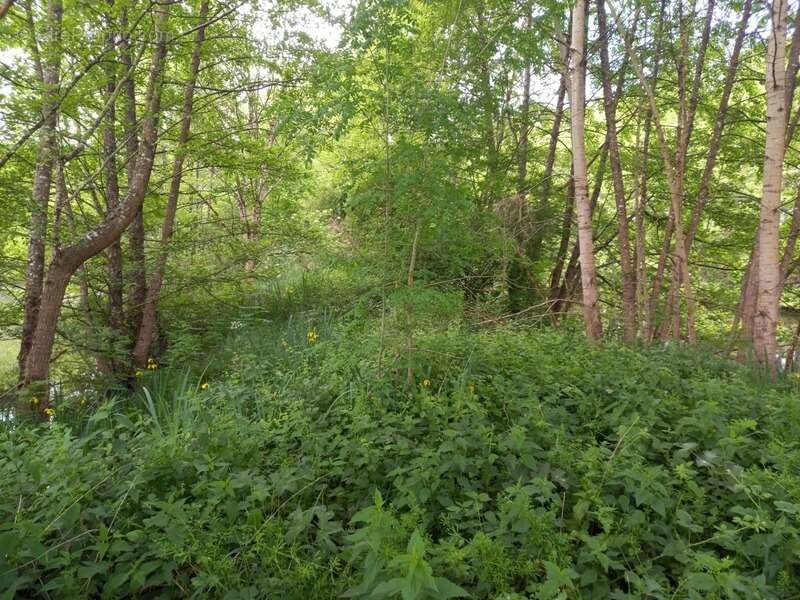 Terrain à COURTEMAUX