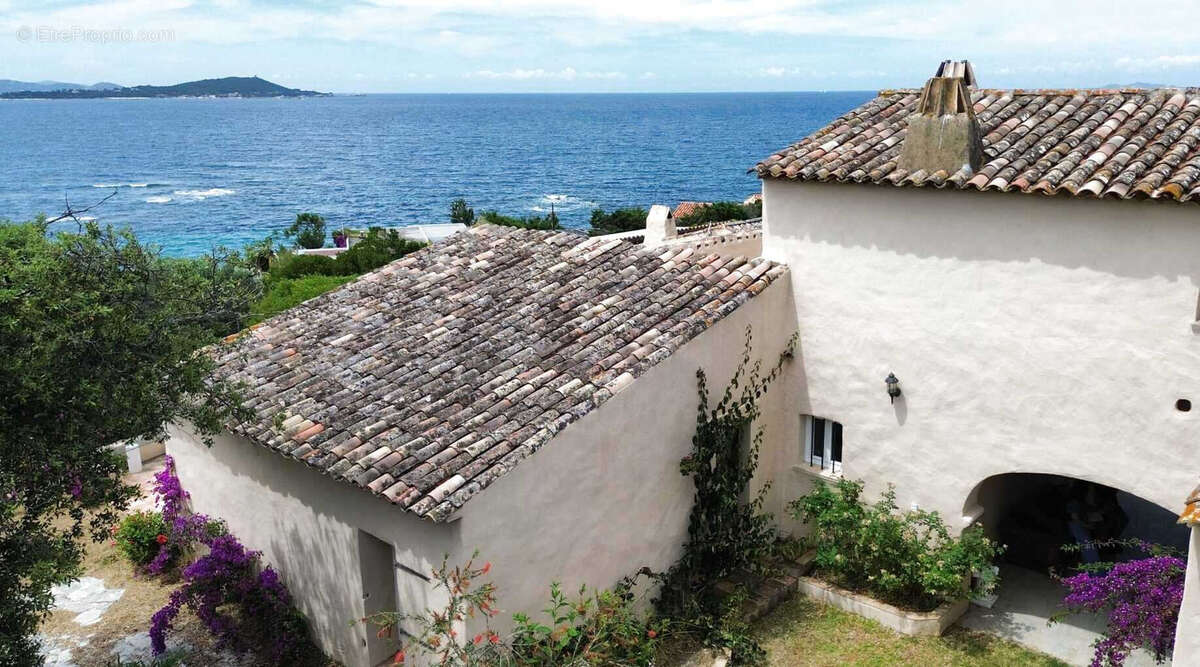 Maison à PIETROSELLA