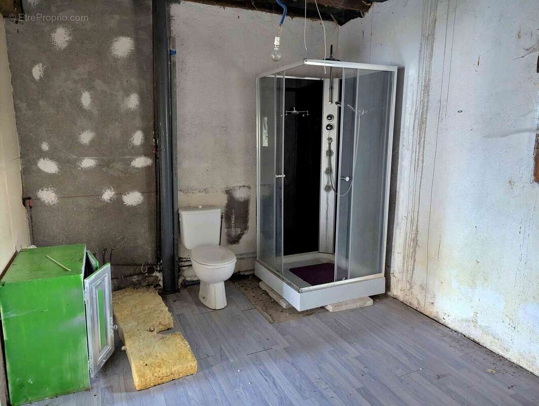 salle de bains avec wc - Maison à DRUYES-LES-BELLES-FONTAINES