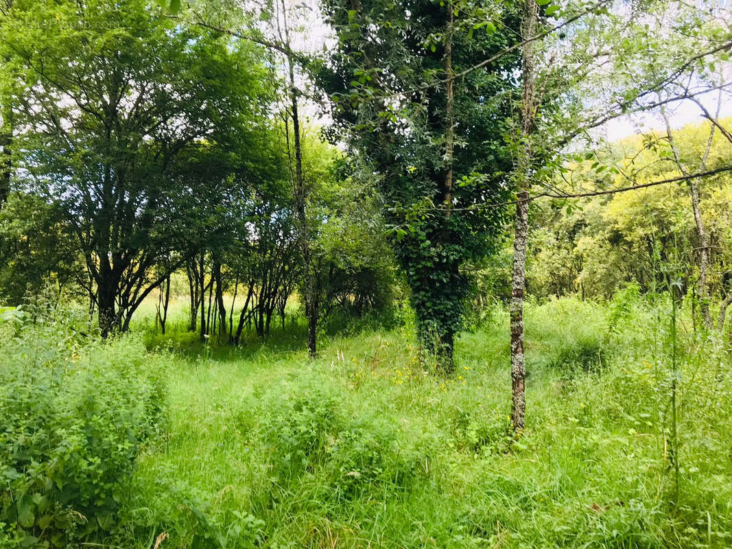 Maison à LA CHAPELLE-DES-MARAIS