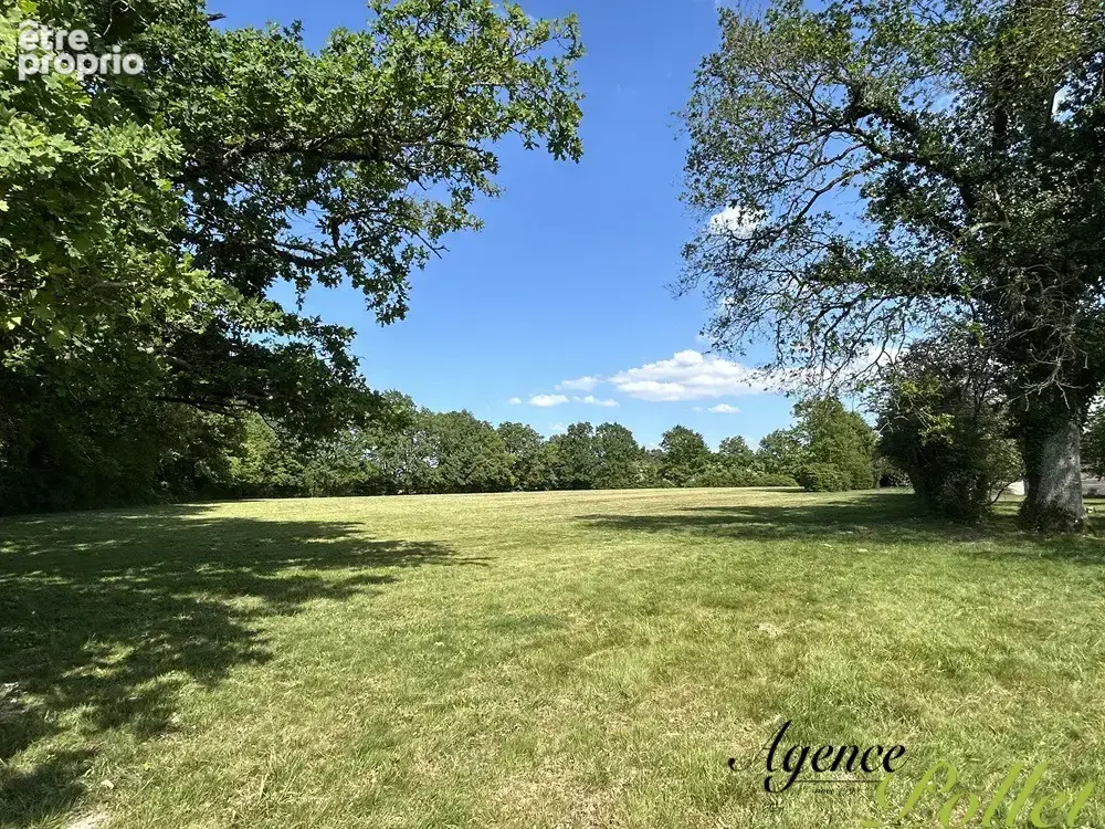 Propriété 4,7 ha avec étang : maison fin XIXème, dépendance, cave, prairie - photo 21